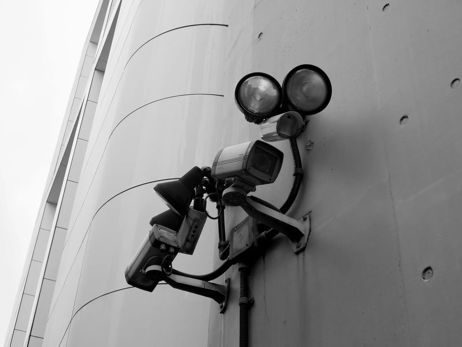 Leak Localization and Theft Detection for Real-Time Utility Loss Control